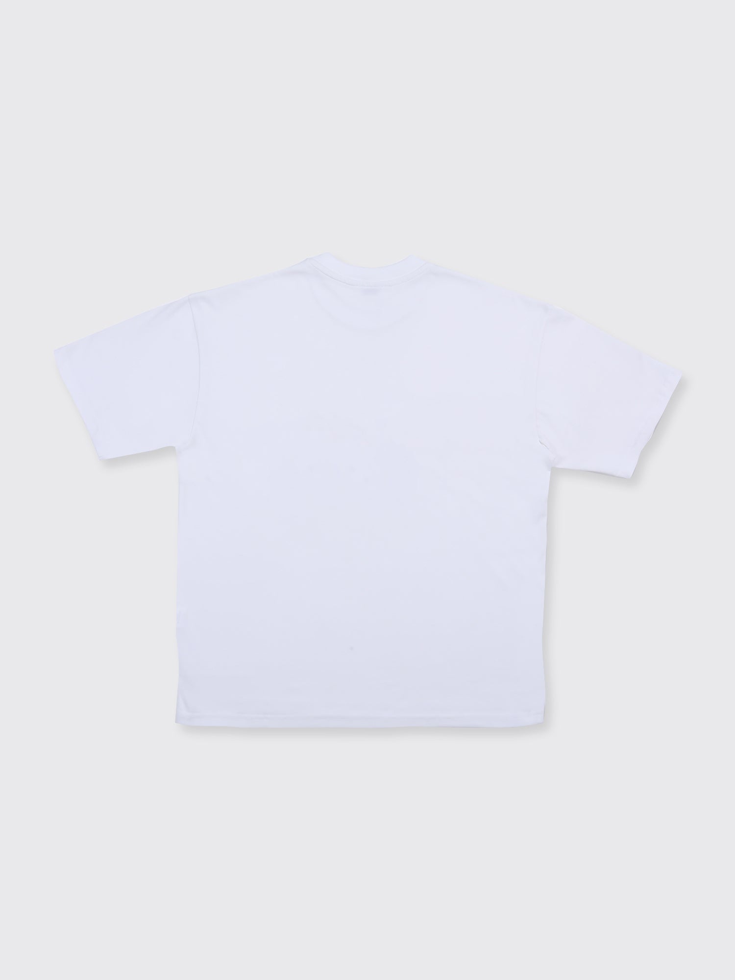 protein t-shirt